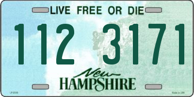 NH license plate 1123171