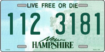 NH license plate 1123181
