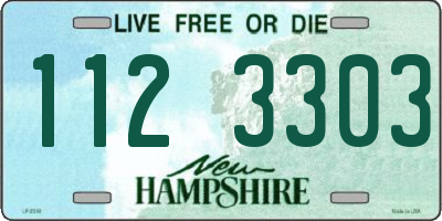 NH license plate 1123303
