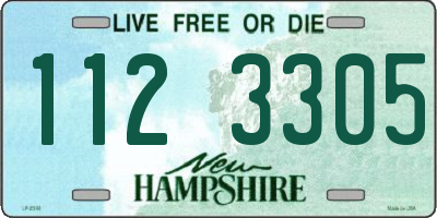 NH license plate 1123305