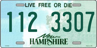 NH license plate 1123307