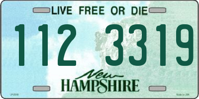 NH license plate 1123319