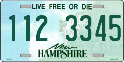 NH license plate 1123345