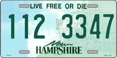 NH license plate 1123347