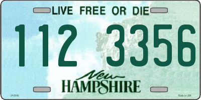 NH license plate 1123356