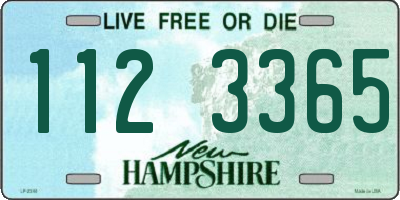 NH license plate 1123365
