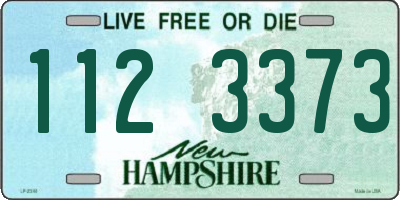 NH license plate 1123373
