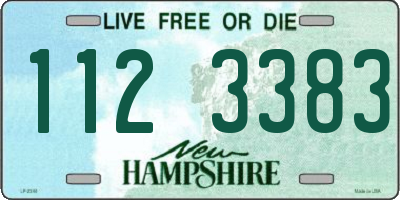 NH license plate 1123383