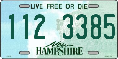 NH license plate 1123385