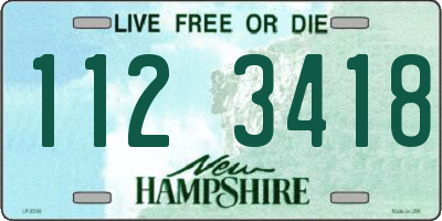 NH license plate 1123418