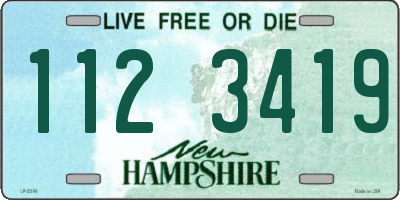 NH license plate 1123419