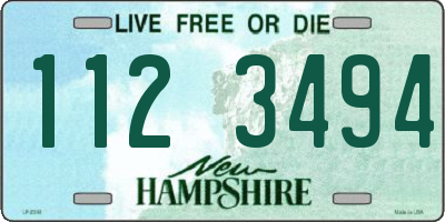 NH license plate 1123494