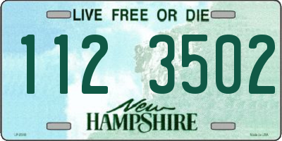 NH license plate 1123502