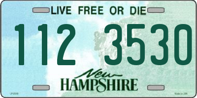 NH license plate 1123530