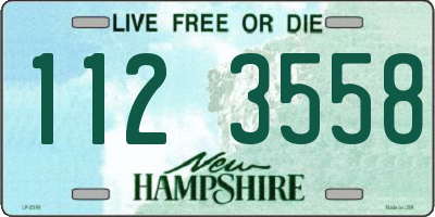 NH license plate 1123558