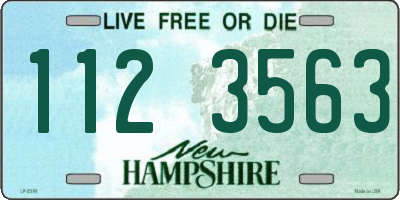 NH license plate 1123563
