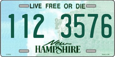NH license plate 1123576