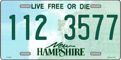 NH license plate 1123577