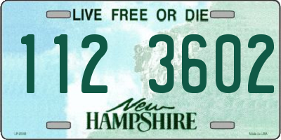 NH license plate 1123602