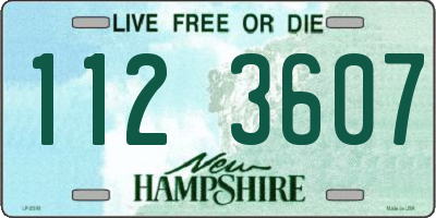 NH license plate 1123607