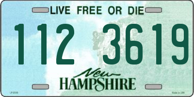 NH license plate 1123619