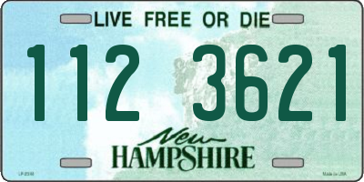 NH license plate 1123621
