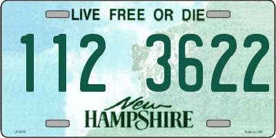 NH license plate 1123622