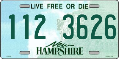 NH license plate 1123626