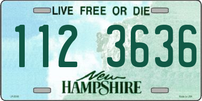 NH license plate 1123636