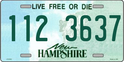 NH license plate 1123637