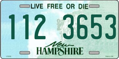 NH license plate 1123653