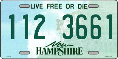 NH license plate 1123661