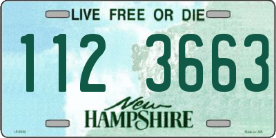 NH license plate 1123663