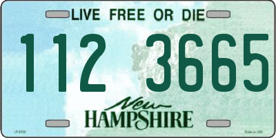 NH license plate 1123665
