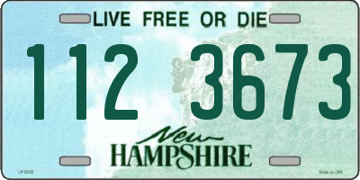 NH license plate 1123673