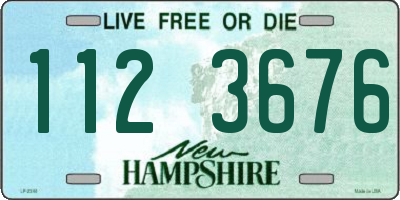 NH license plate 1123676