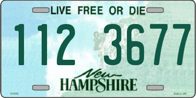 NH license plate 1123677