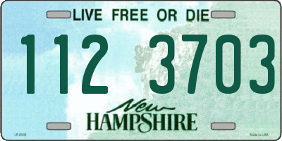 NH license plate 1123703
