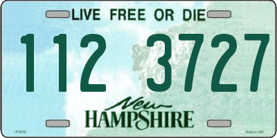 NH license plate 1123727