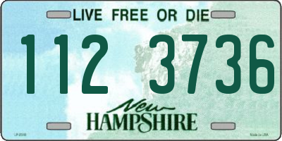 NH license plate 1123736