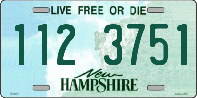 NH license plate 1123751