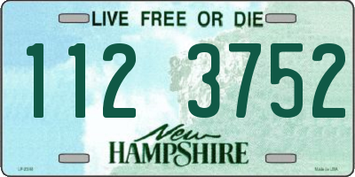NH license plate 1123752