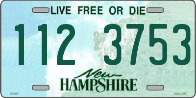 NH license plate 1123753