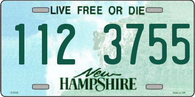 NH license plate 1123755
