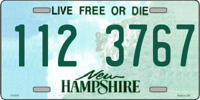 NH license plate 1123767