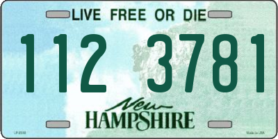 NH license plate 1123781