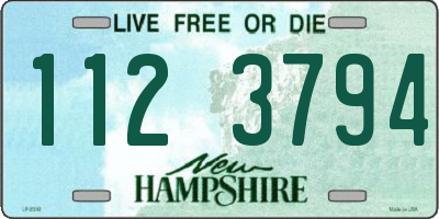 NH license plate 1123794