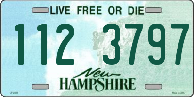 NH license plate 1123797