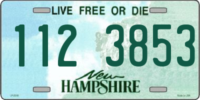 NH license plate 1123853