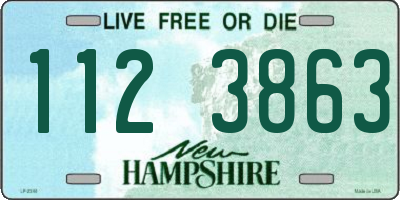 NH license plate 1123863